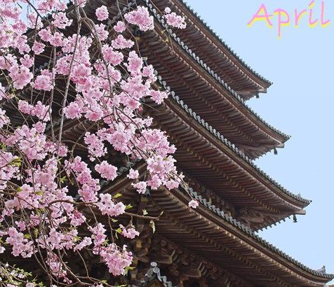 2021年4月   京都瞑想会