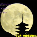 2021年 10月 京都瞑想会