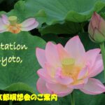2023年7月 京都瞑想会