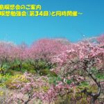 2025年2月 リモート&鹿児島瞑想会