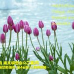 2025年3月 リモート&東京瞑想会
