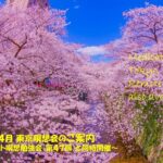 2025年4月 リモート&東京瞑想会