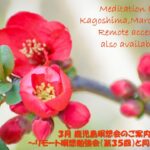 2025年3月 リモート&鹿児島瞑想会