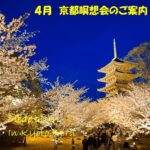 2025年4月 京都瞑想会