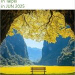 2025年6月 台北Google Meet瞑想會