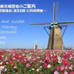 2025年9月 リモート&東京瞑想会