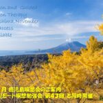 2025年11月 リモート&鹿児島瞑想会