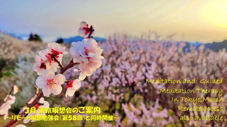 2026年3月 リモート&東京瞑想会