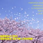 2026年3月 リモート&鹿児島瞑想会